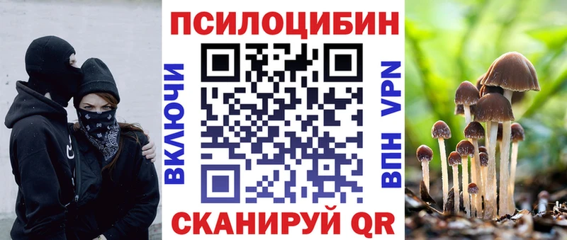 Купить  Томилино  Галлюциногенные грибы Cubensis 